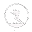 Loading animation